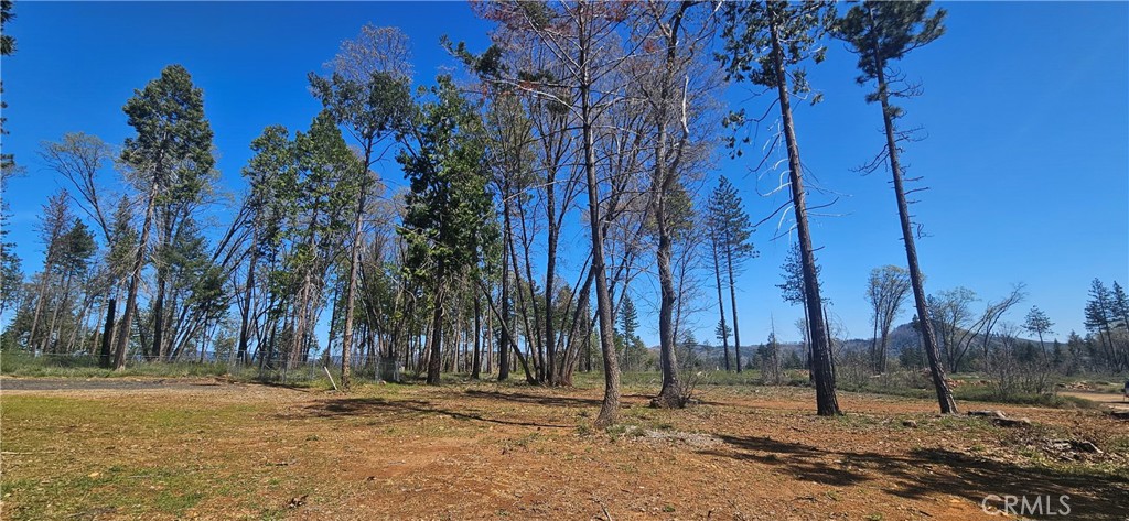 0 Skyway Property Photo 1