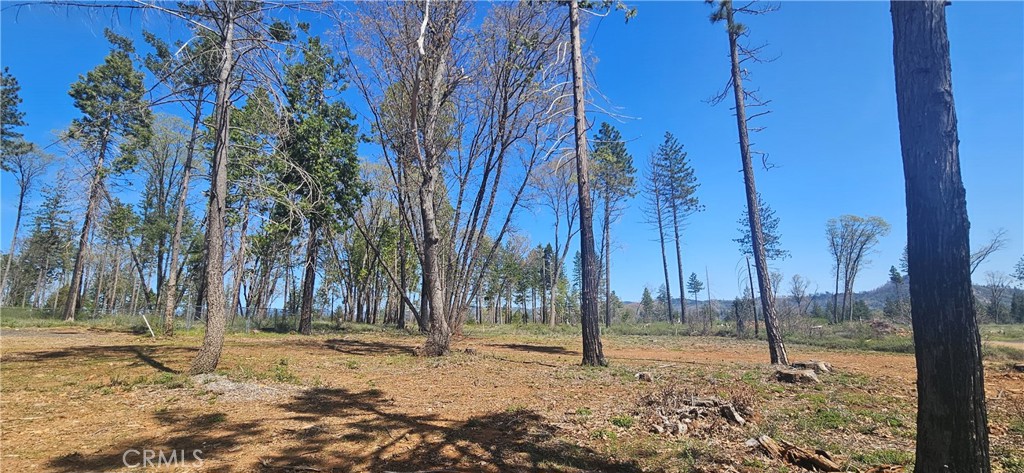 0 Skyway Property Photo 2
