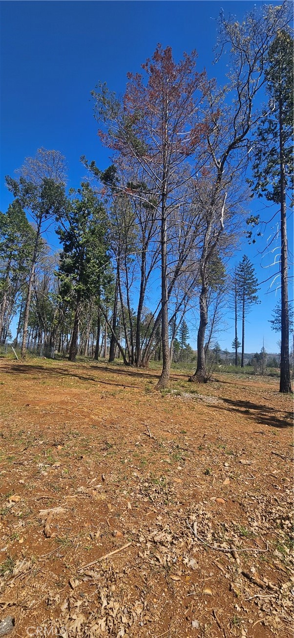 0 Skyway Property Photo 3
