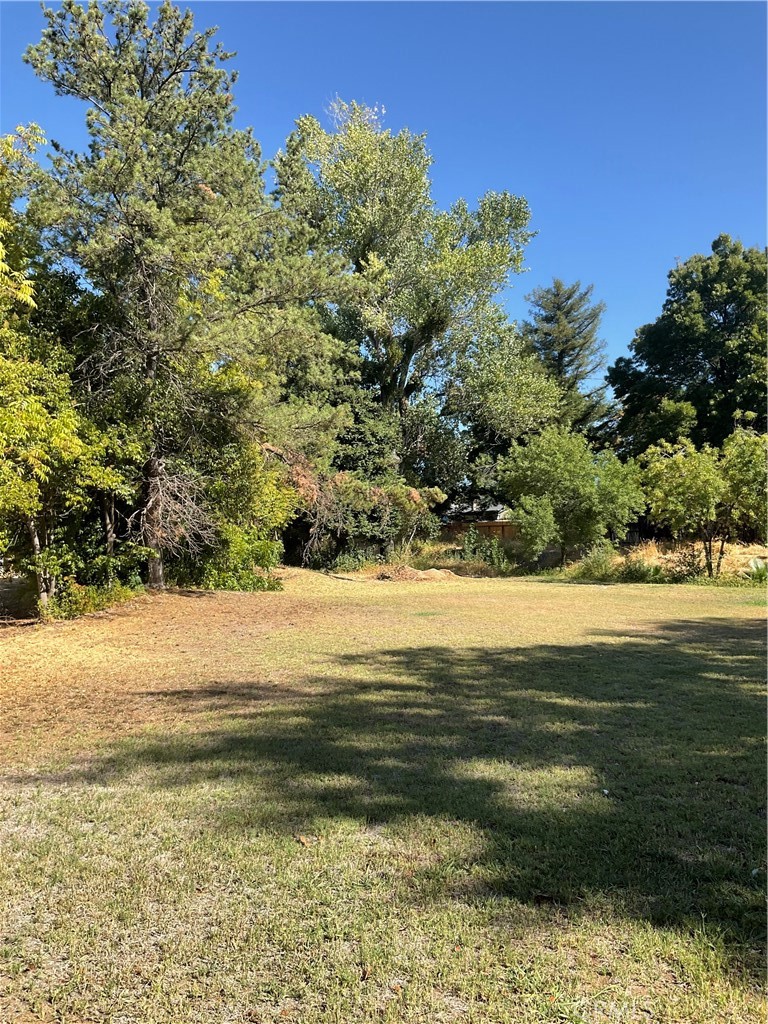 480 Solano Street Property Photo 4