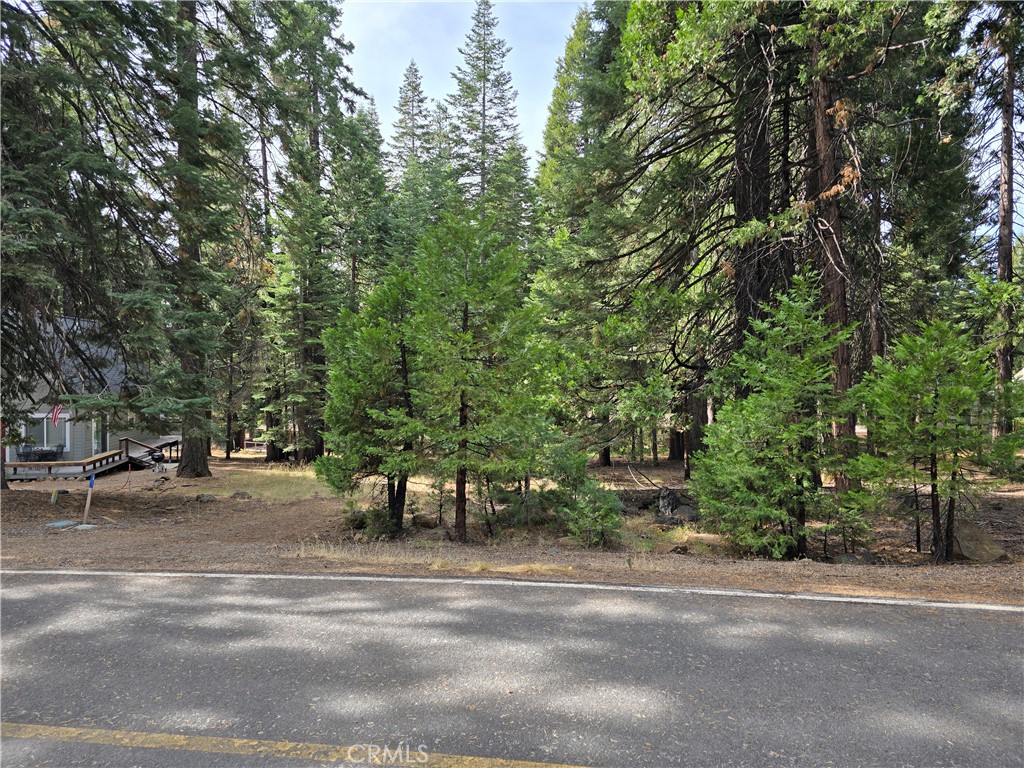 615 Clifford Trail Property Photo 1