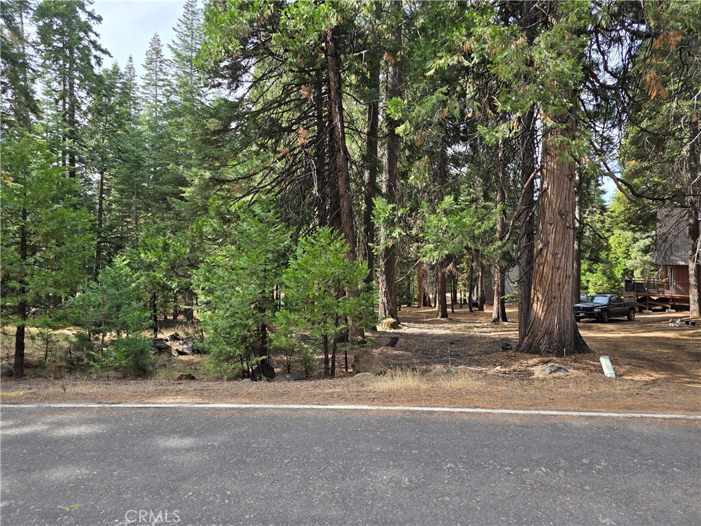615 Clifford Trail Property Photo 2
