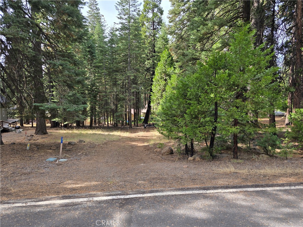 615 Clifford Trail Property Photo 3