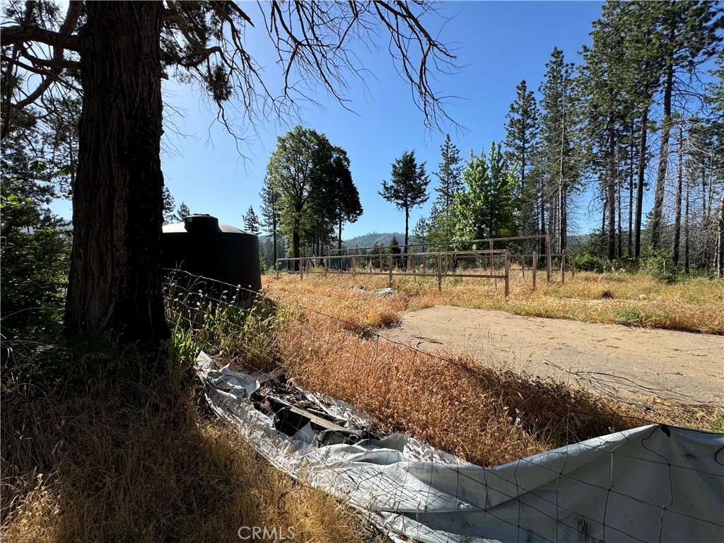 13477 Cirby Creek Road Property Photo