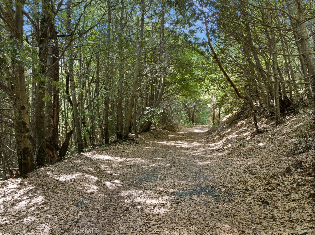63 Binet Road Property Photo 1