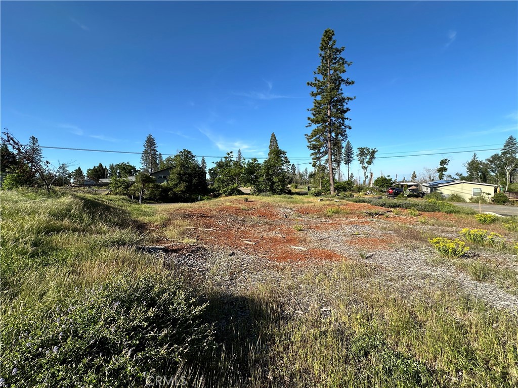 6203 Woodbury Drive Property Photo 1
