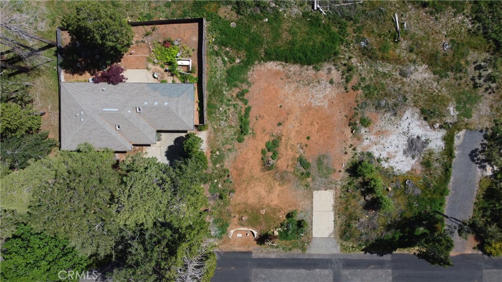 14002 Pineland Circle Property Photo 6