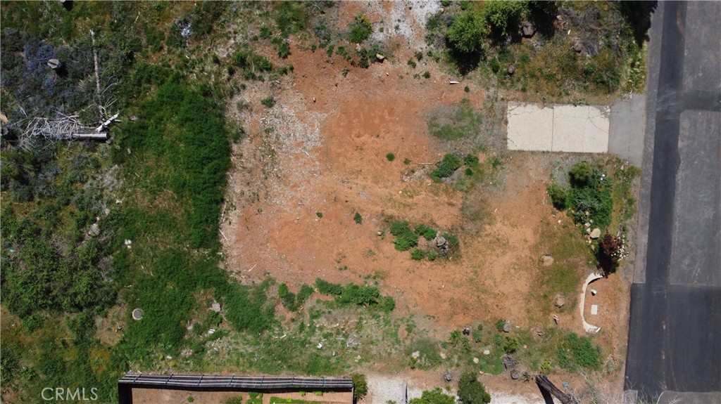 14002 Pineland Circle Property Photo 7