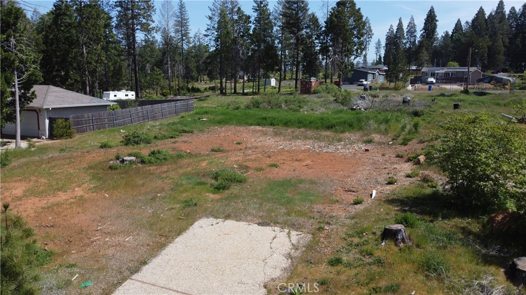 14002 Pineland Circle Property Photo 8