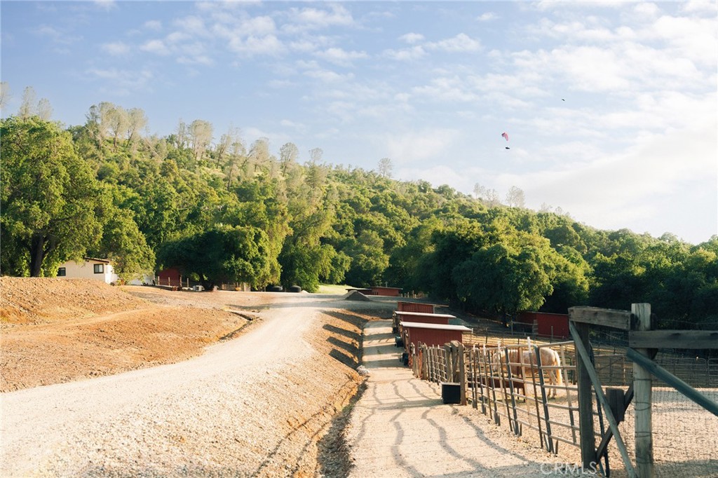1477 Flag Creek Road Property Photo 10