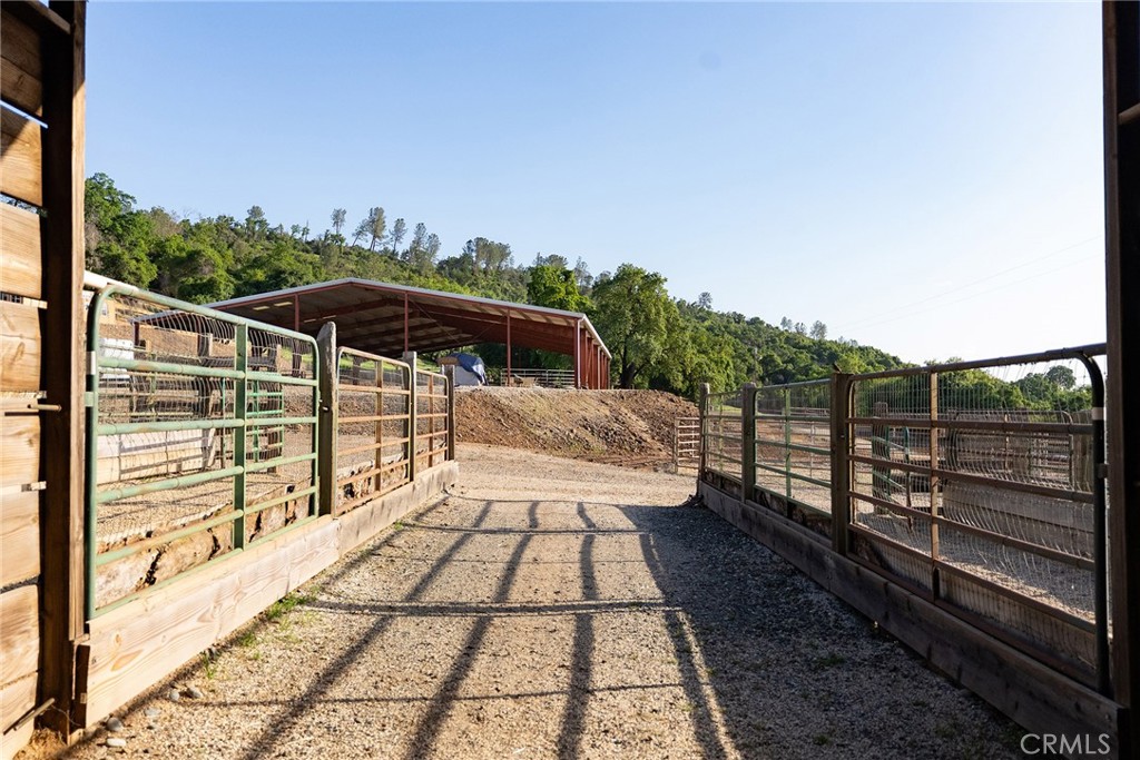 1477 Flag Creek Road Property Photo 49