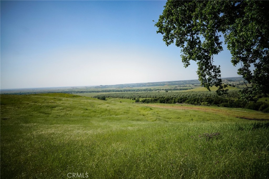 1477 Flag Creek Road Property Photo 61
