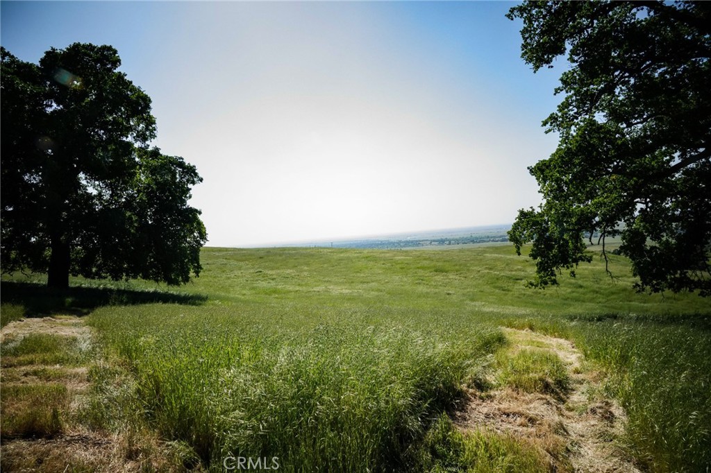 1477 Flag Creek Road Property Photo 62