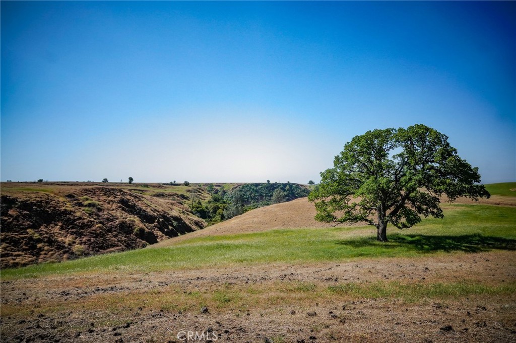 1477 Flag Creek Road Property Photo 64