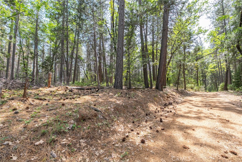 0 Scotty Ln Property Photo 5