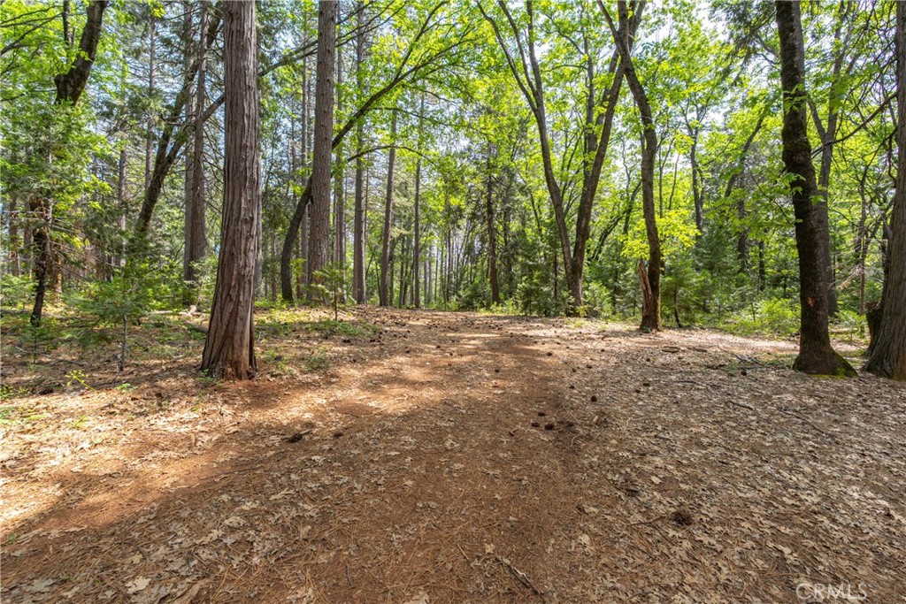 0 Scotty Ln Property Photo 8