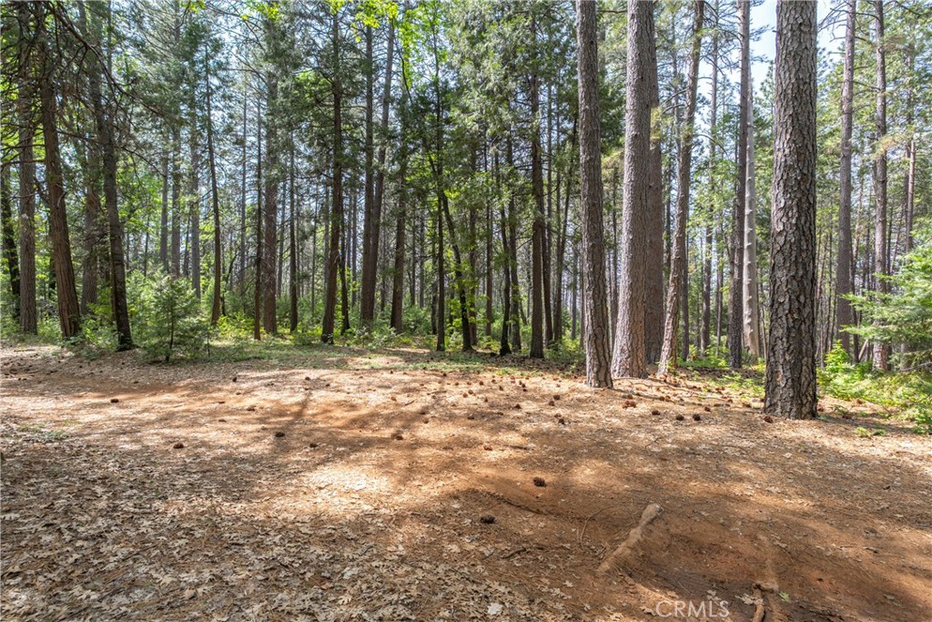 0 Scotty Ln Property Photo 9