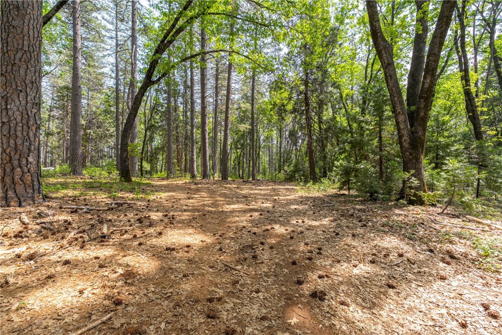 0 Scotty Ln Property Photo 10