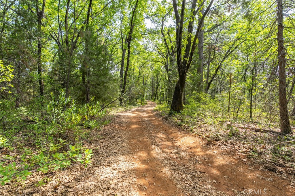 0 Scotty Ln Property Photo 11
