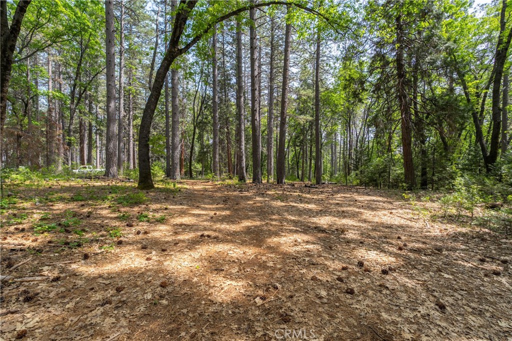 0 Scotty Ln Property Photo 14