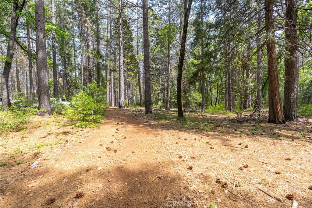 0 Scotty Ln Property Photo 15