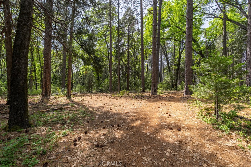 0 Scotty Ln Property Photo 16
