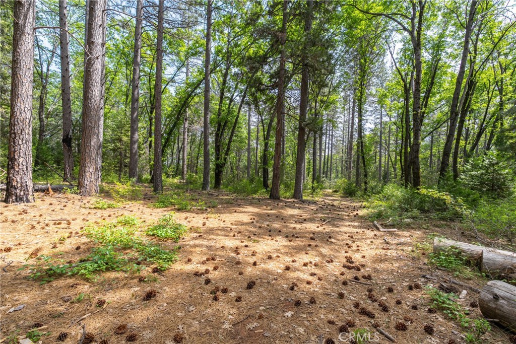 0 Scotty Ln Property Photo 17