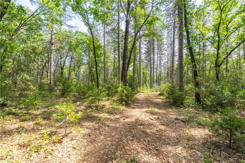0 Scotty Ln Property Photo 18