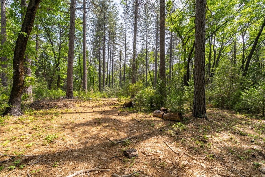 0 Scotty Ln Property Photo 19