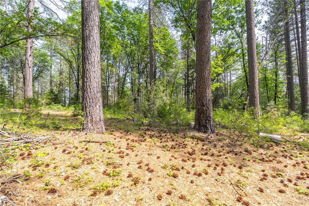 0 Scotty Ln Property Photo 20
