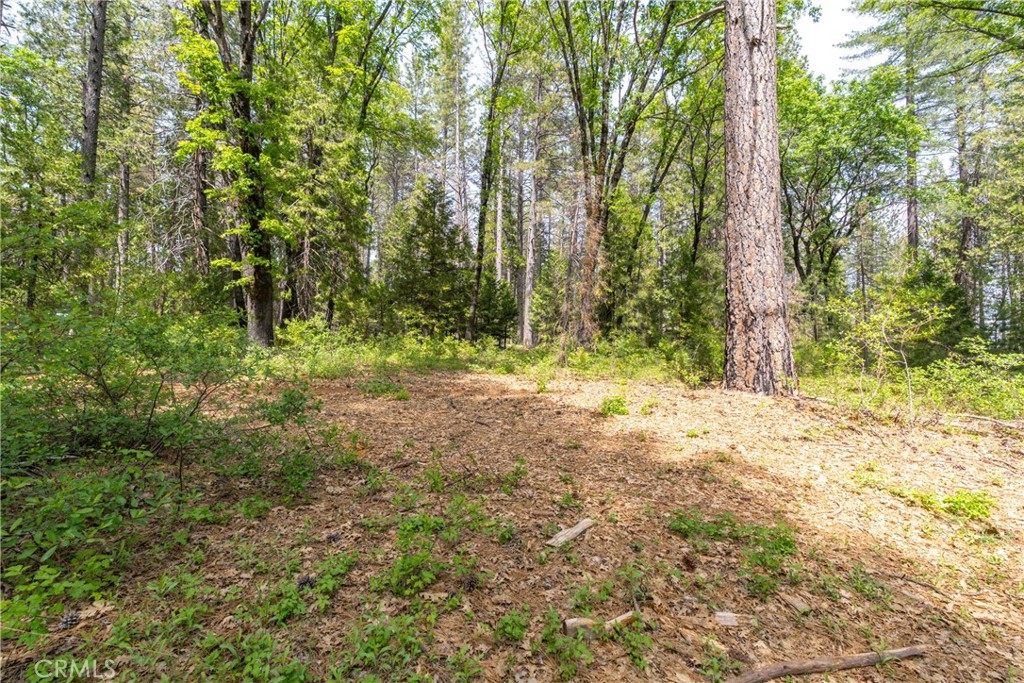 0 Scotty Ln Property Photo 22