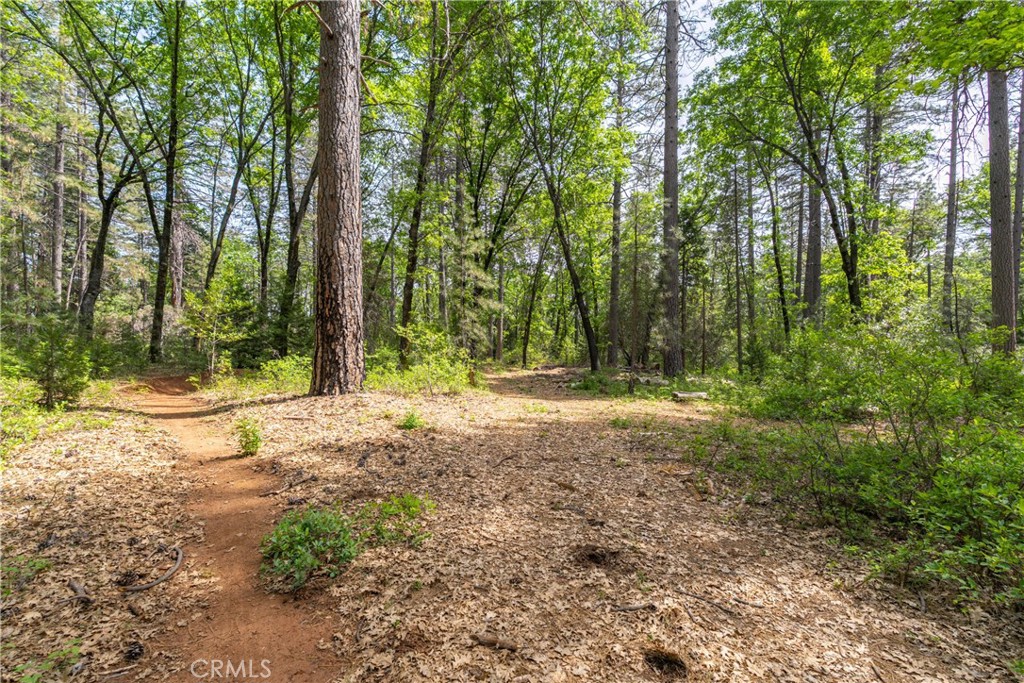 0 Scotty Ln Property Photo 23