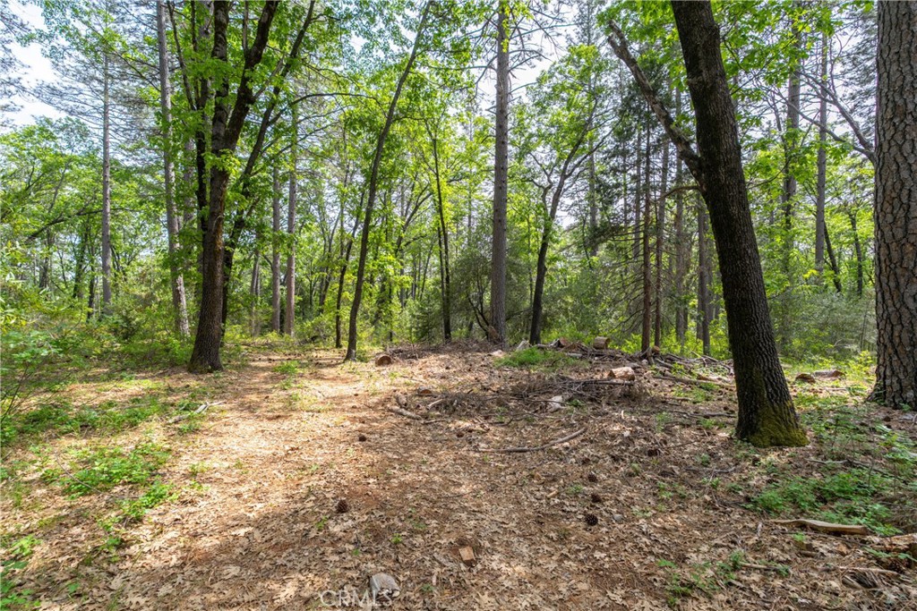 0 Scotty Ln Property Photo 24