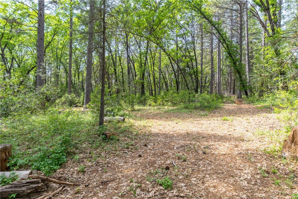 0 Scotty Ln Property Photo 25