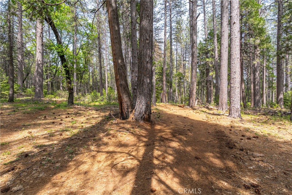 0 Scotty Ln Property Photo 26