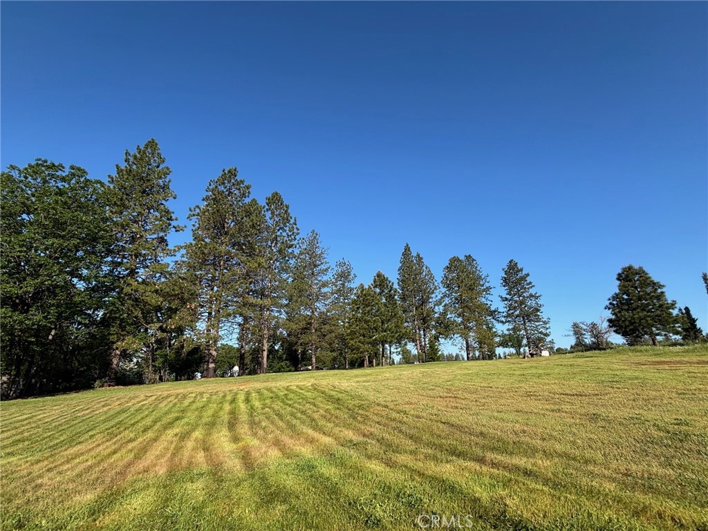 0 Libby Road Property Photo 1