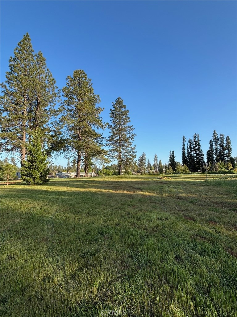 0 Libby Road Property Photo 2