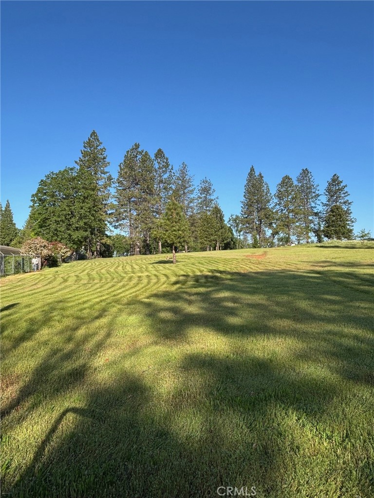 0 Libby Road Property Photo 3