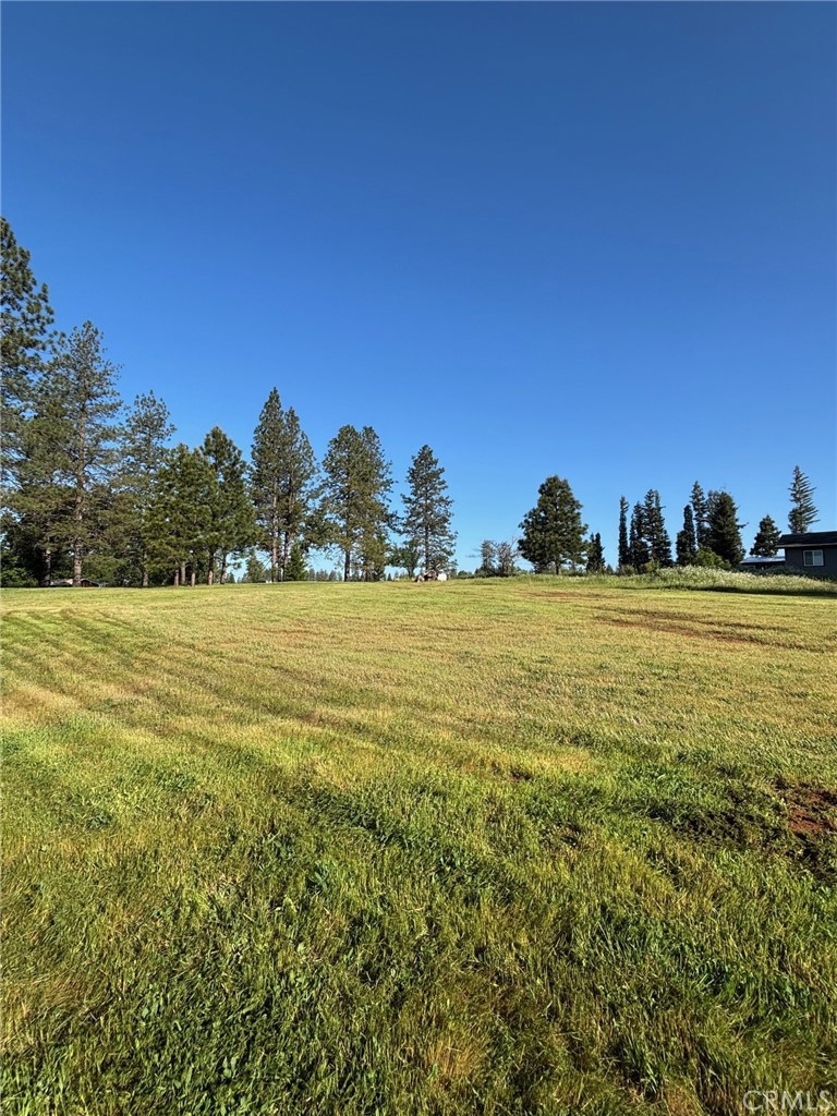 0 Libby Road Property Photo 4