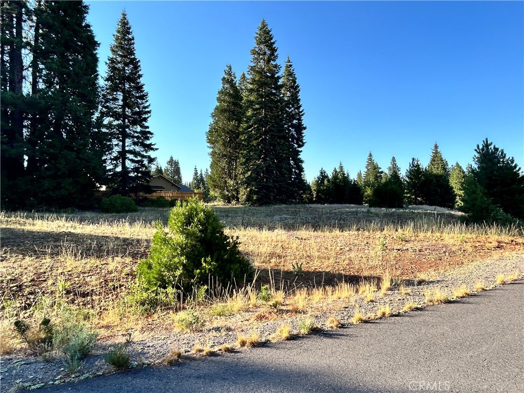 179 Treetop Circle Property Photo 1