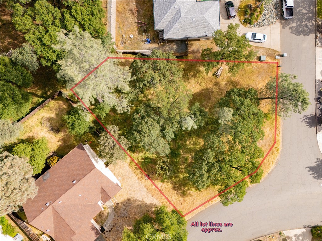 1 Celena Court Property Photo 2
