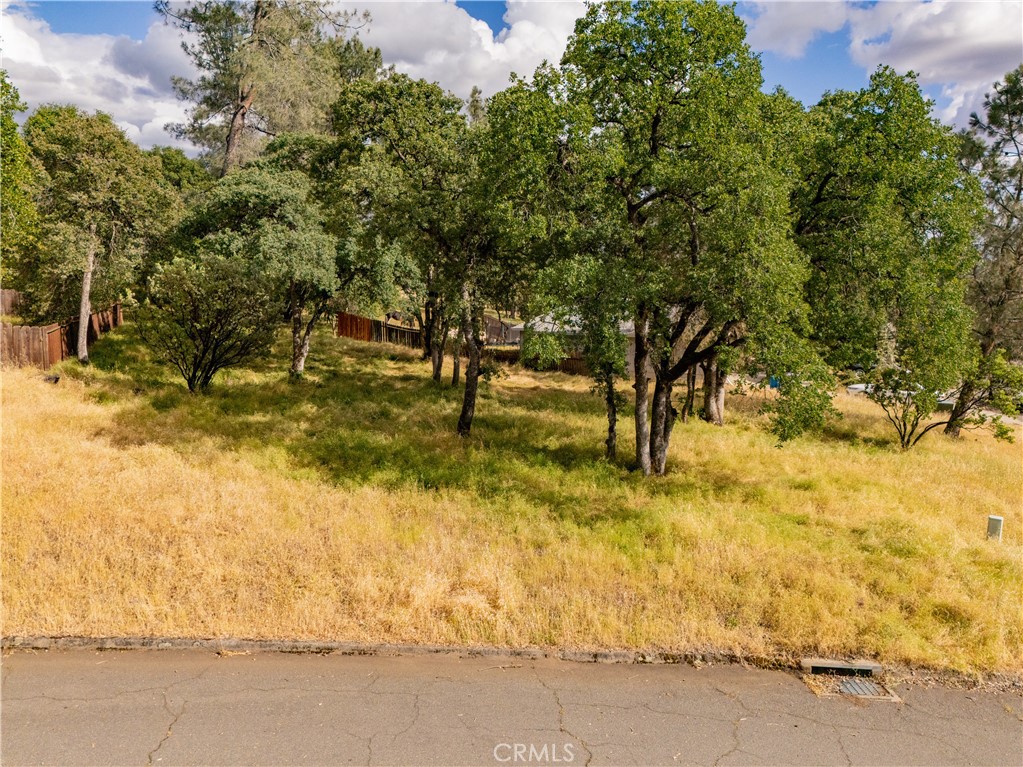1 Celena Court Property Photo 3