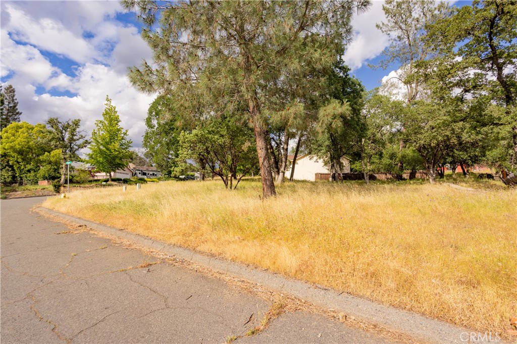 1 Celena Court Property Photo 4