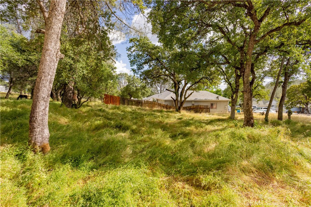 1 Celena Court Property Photo 5