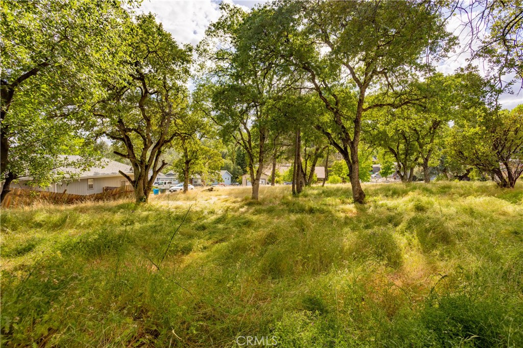 1 Celena Court Property Photo 6
