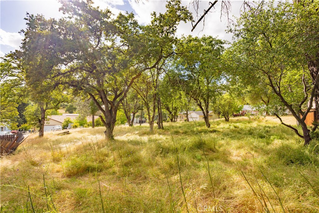 1 Celena Court Property Photo 7