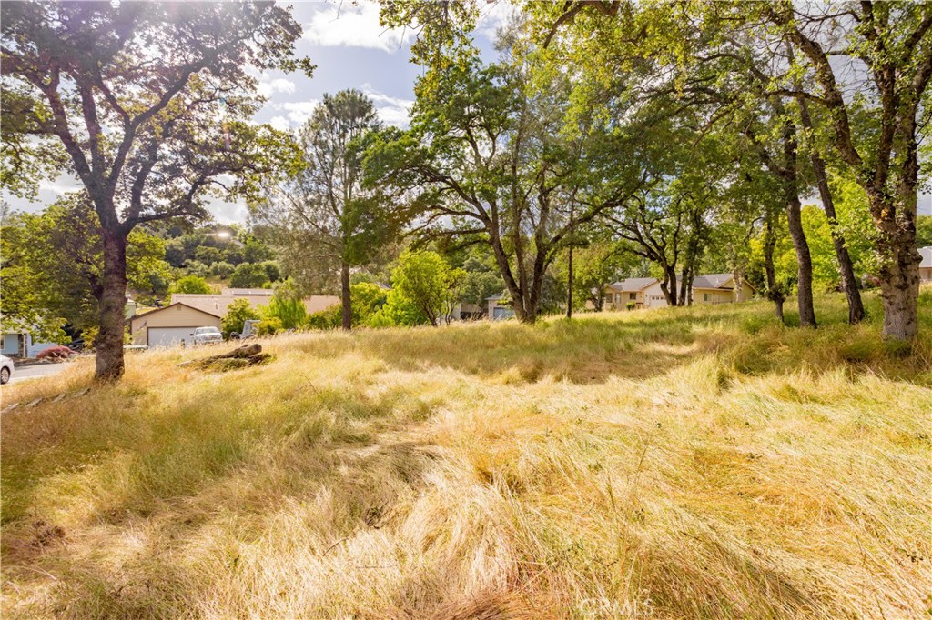 1 Celena Court Property Photo 9