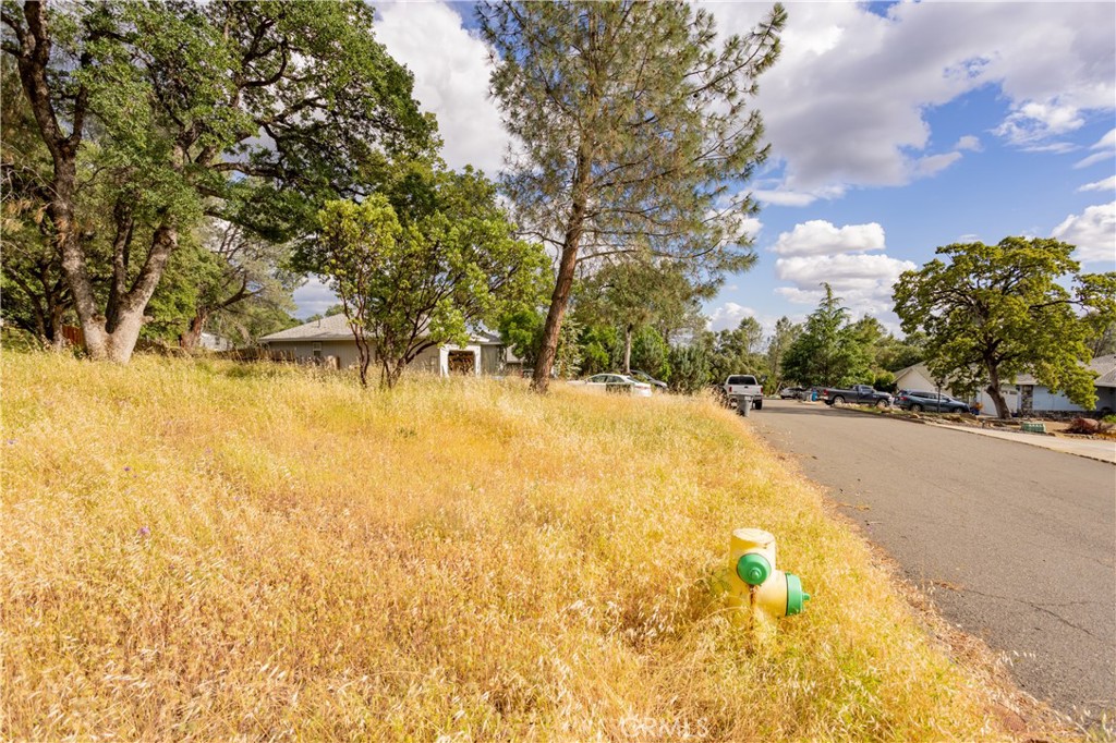 1 Celena Court Property Photo 11