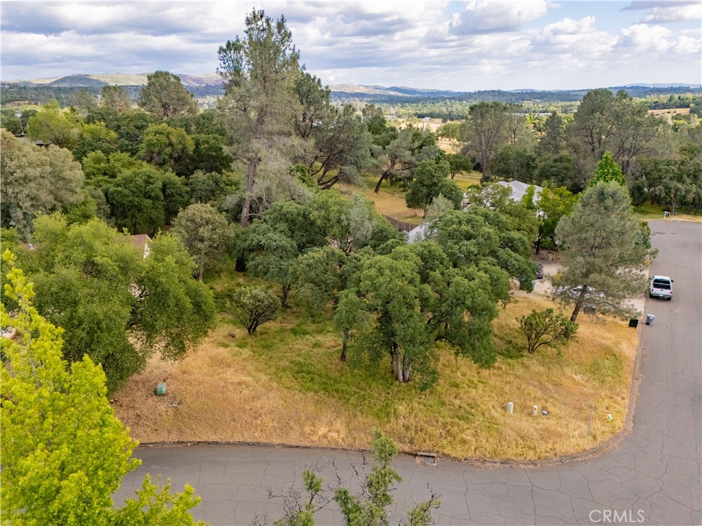 1 Celena Court Property Photo 12