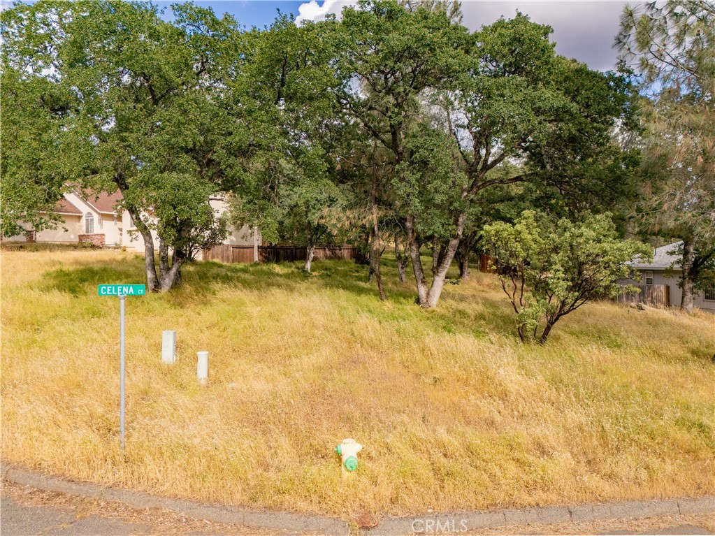 1 Celena Court Property Photo 14